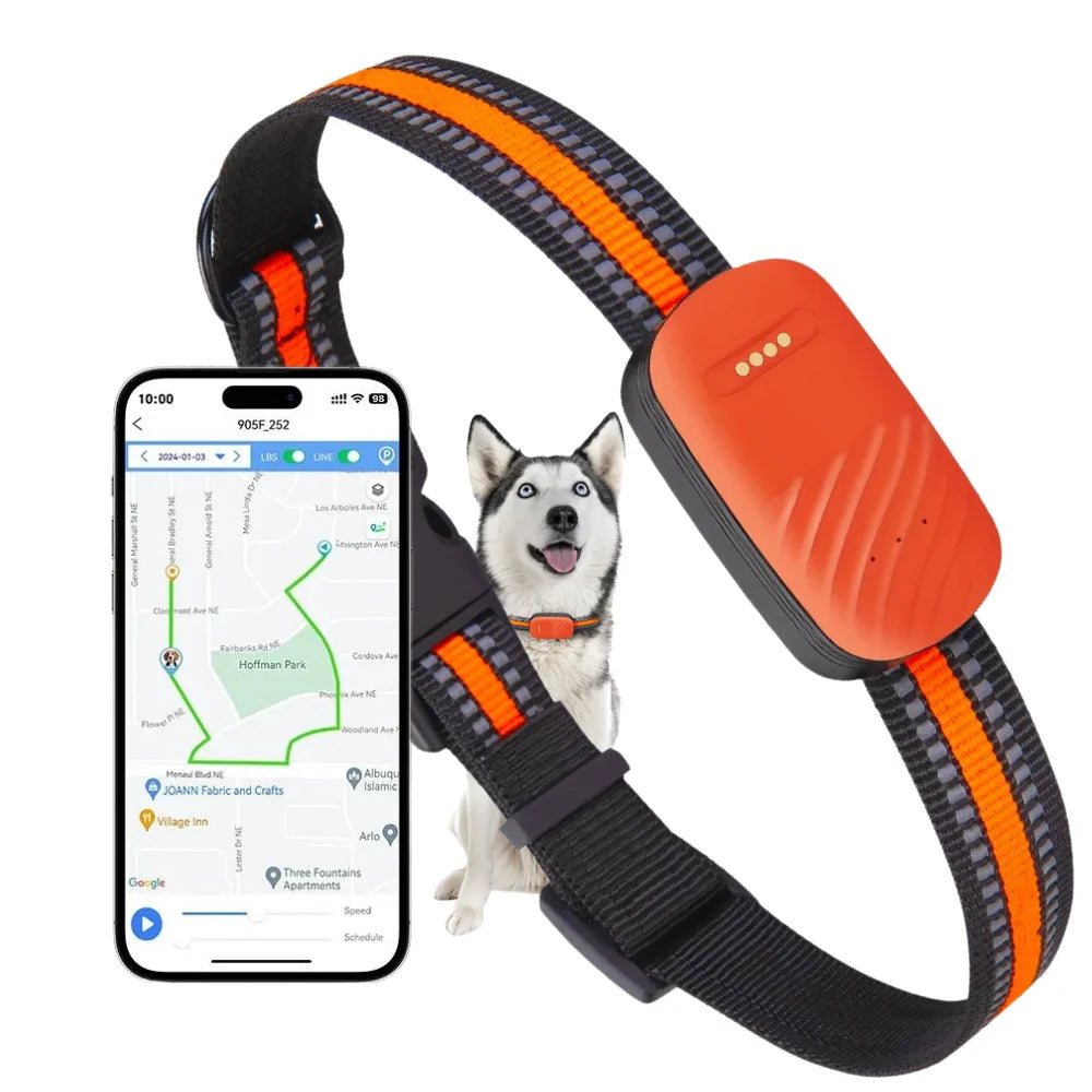 Dog fashion tracker device