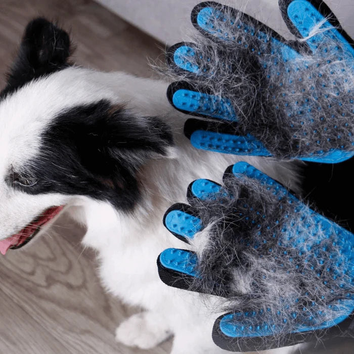 Grooming Pet Glove