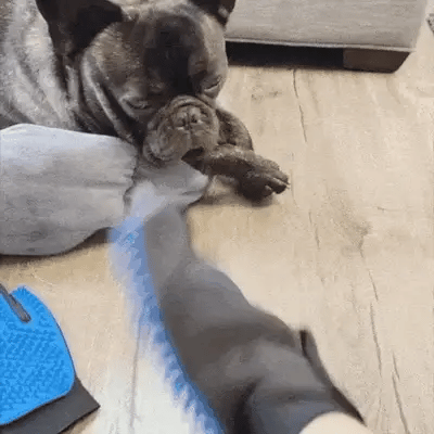 Grooming Pet Glove