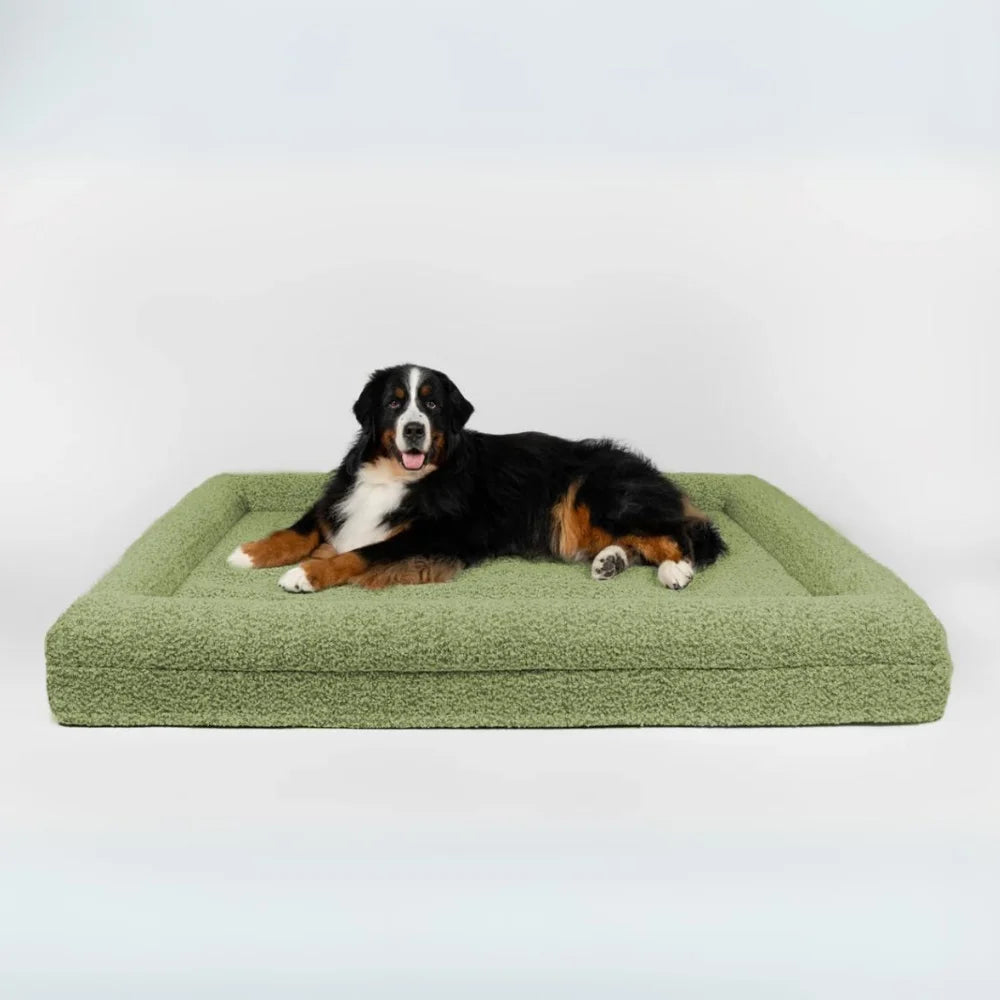 Luxury Orthopedic Dog Bed With Removable Cover