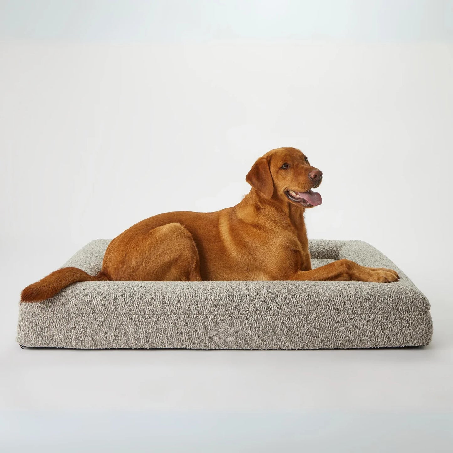 Luxury Orthopedic Dog Bed With Removable Cover