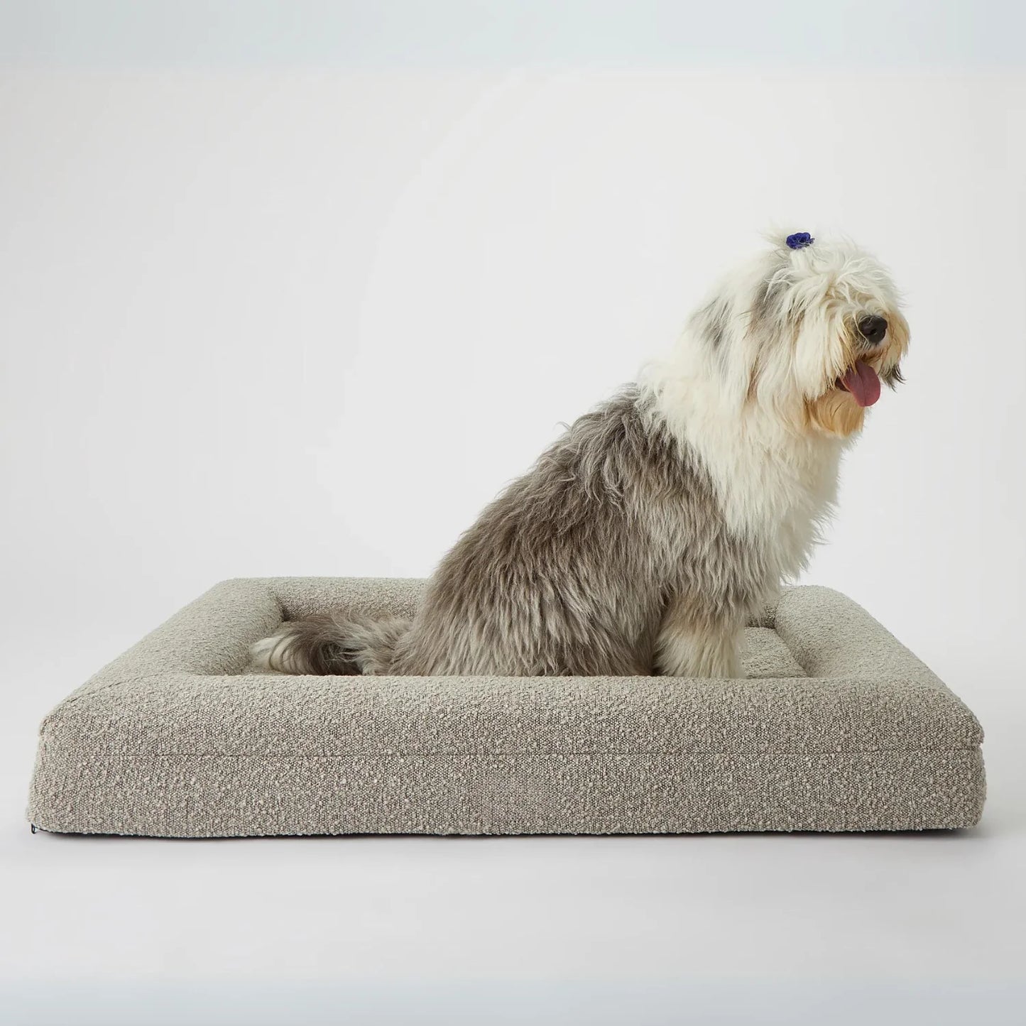 Luxury Orthopedic Dog Bed With Removable Cover
