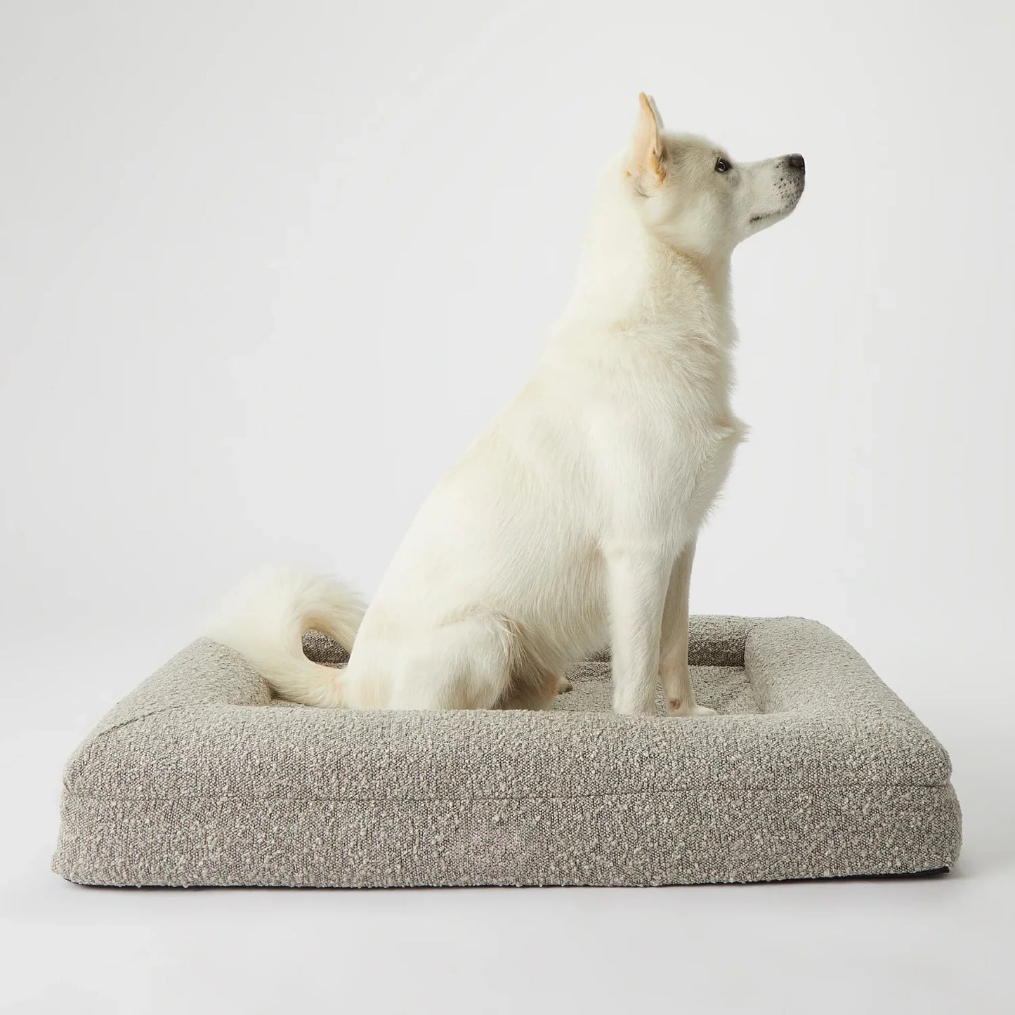 Luxury Orthopedic Dog Bed With Removable Cover