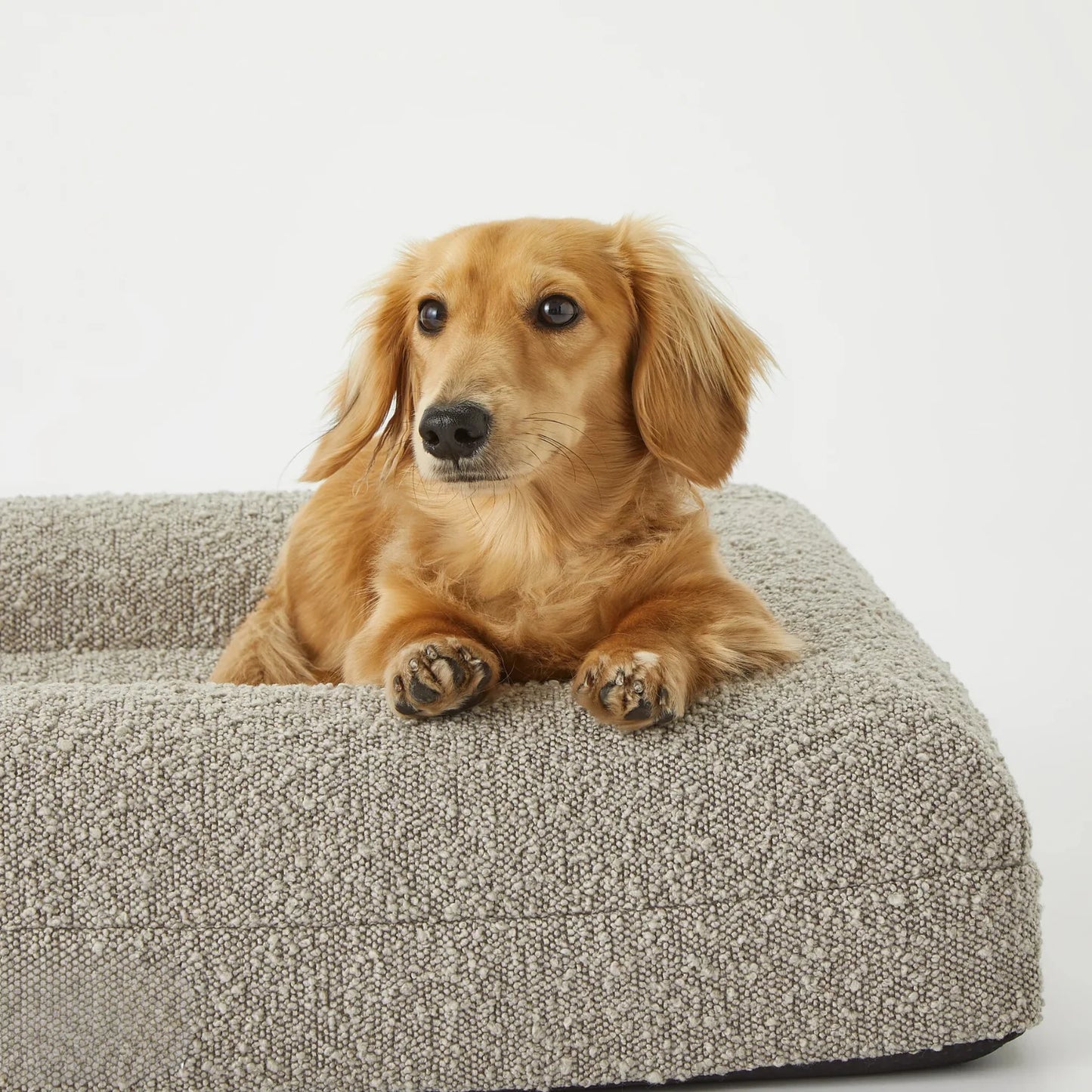 Luxury Orthopedic Dog Bed With Removable Cover