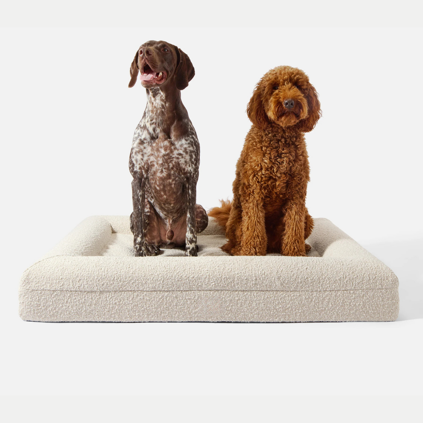 Luxury Orthopedic Dog Bed With Removable Cover