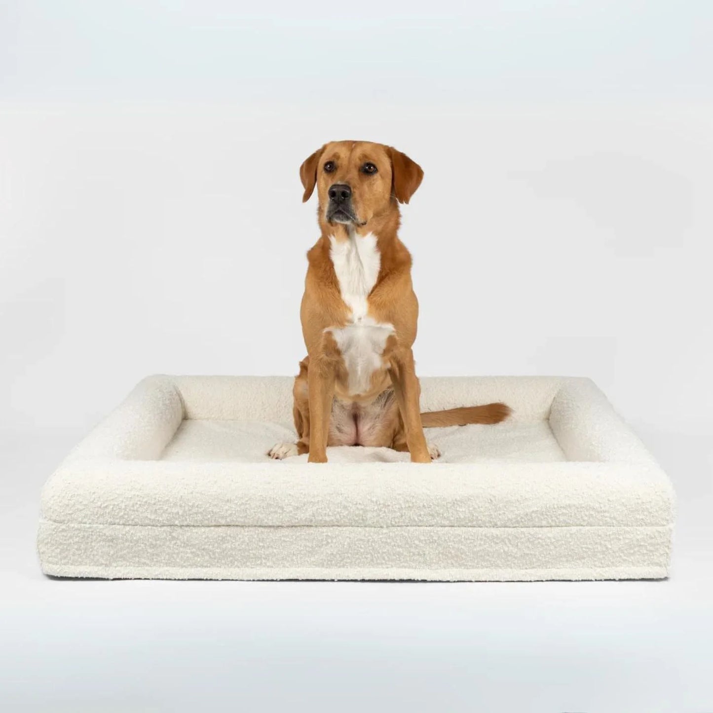 Luxury Orthopedic Dog Bed With Removable Cover