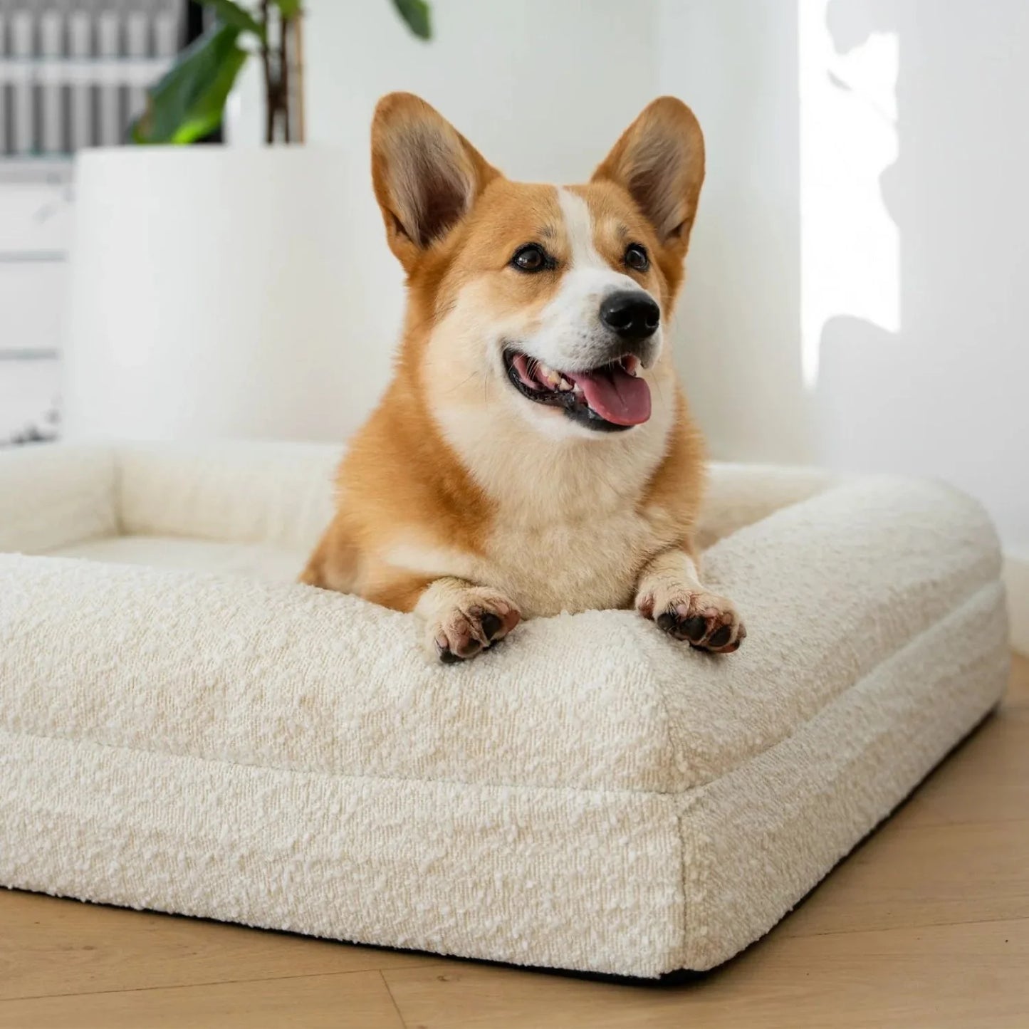 Luxury Orthopedic Dog Bed With Removable Cover
