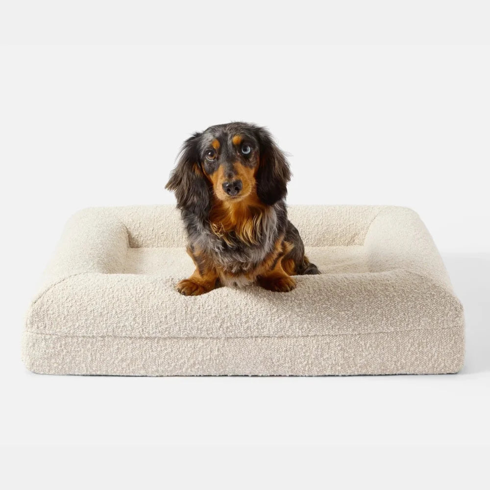 Luxury Orthopedic Dog Bed With Removable Cover