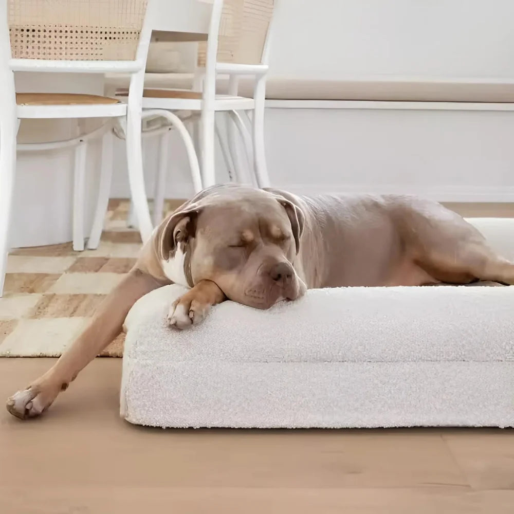 Luxury Orthopedic Dog Bed With Removable Cover