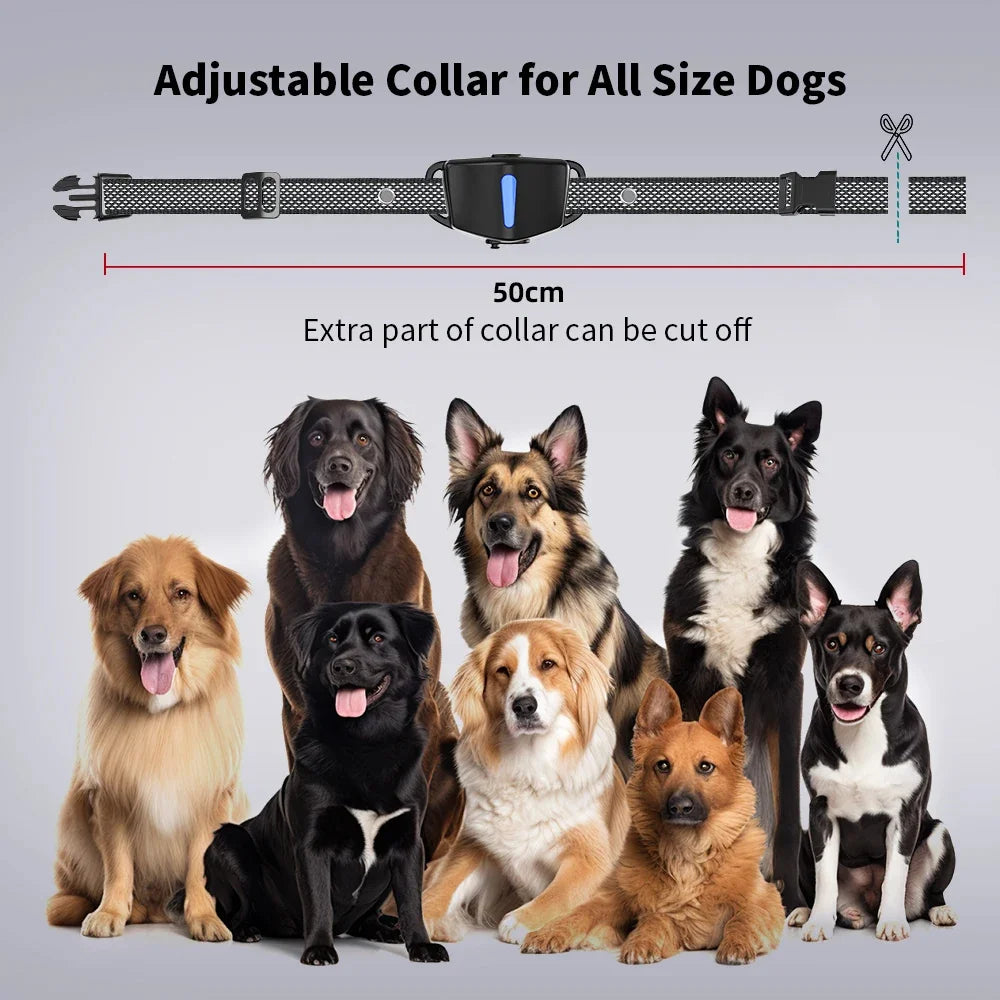 Long-Range Dog Training Collar with Static & Vibration