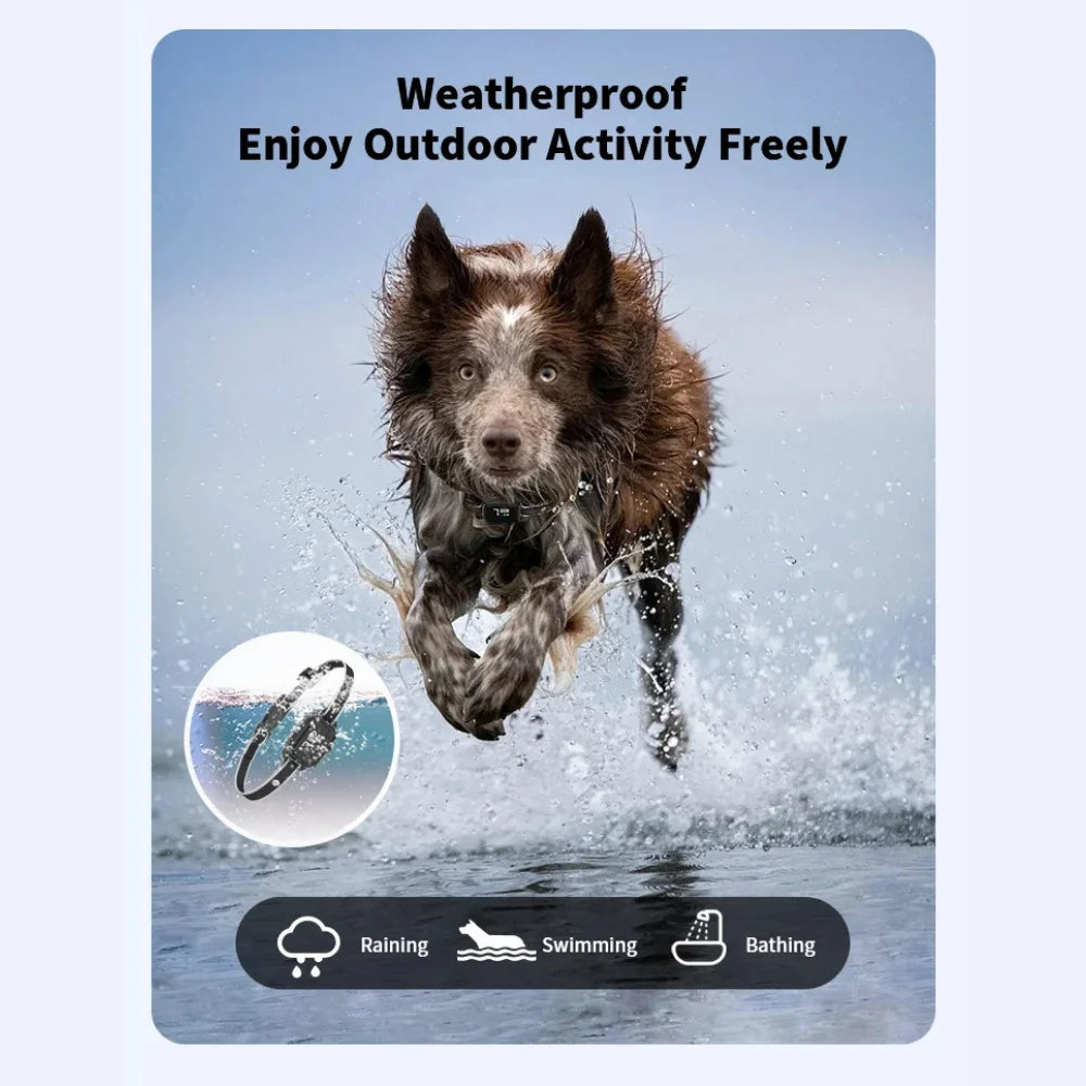 Rechargeable Mini Anti-Bark Collar with LCD Screen