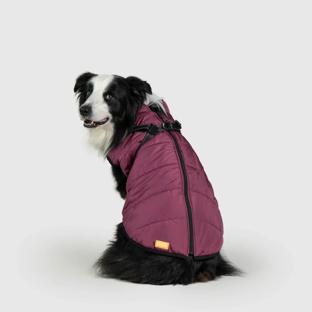 3 in 1 Waterproof Dog Fleece Coat