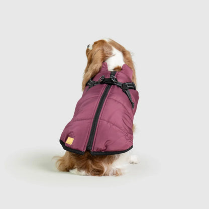 3 in 1 Waterproof Dog Fleece Coat