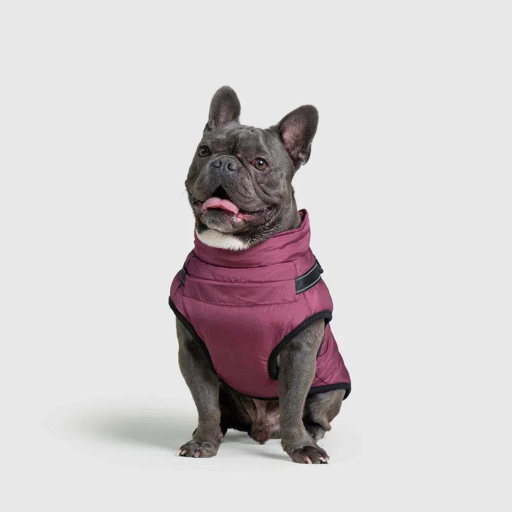 3 in 1 Waterproof Dog Fleece Coat