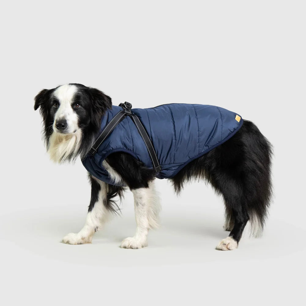 3 in 1 Waterproof Dog Fleece Coat