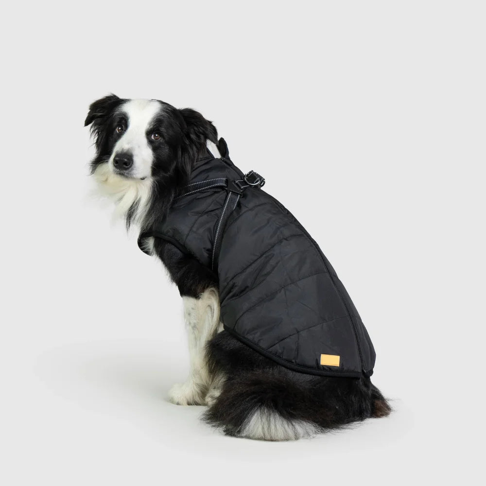 3 in 1 Waterproof Dog Fleece Coat