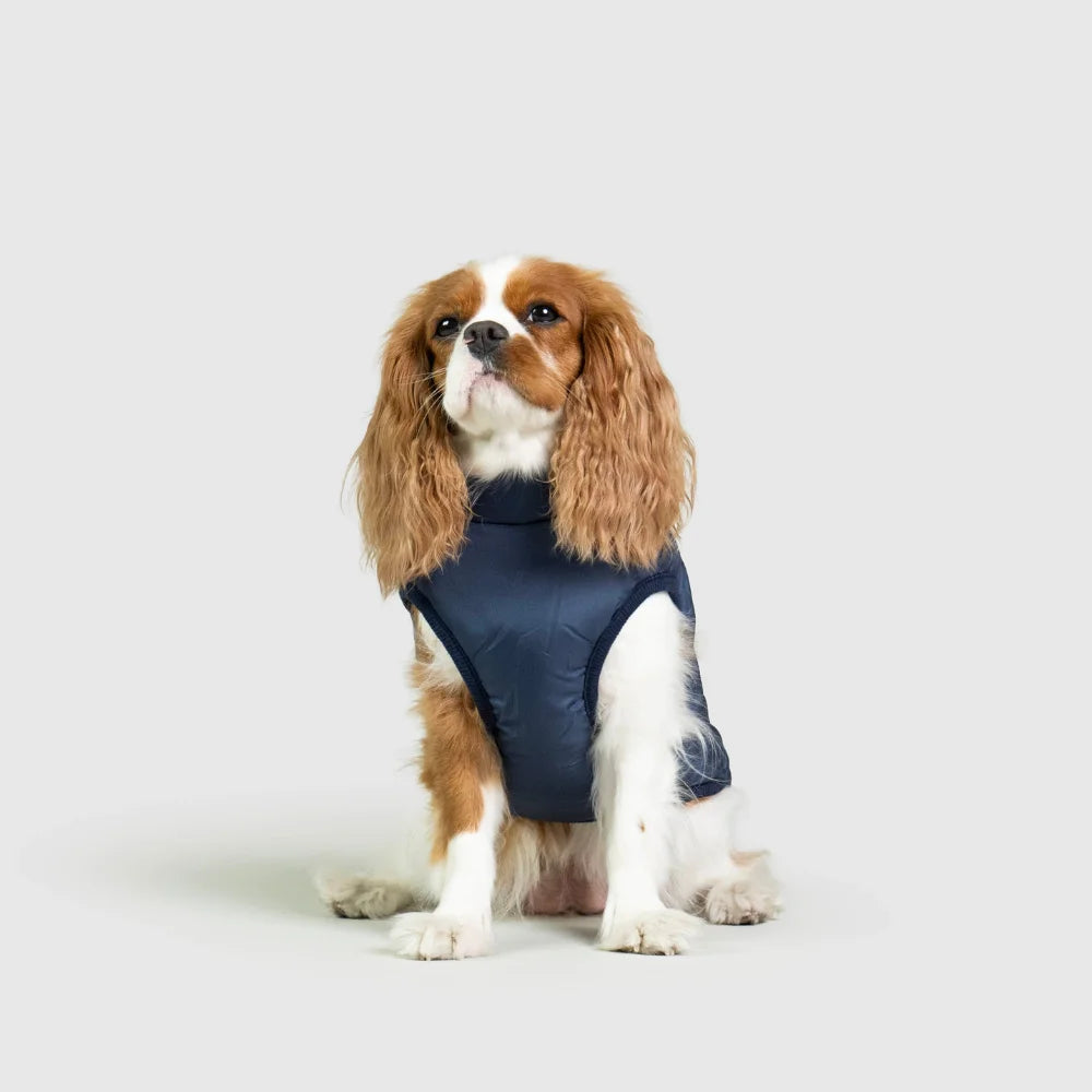 3 in 1 Waterproof Dog Fleece Coat