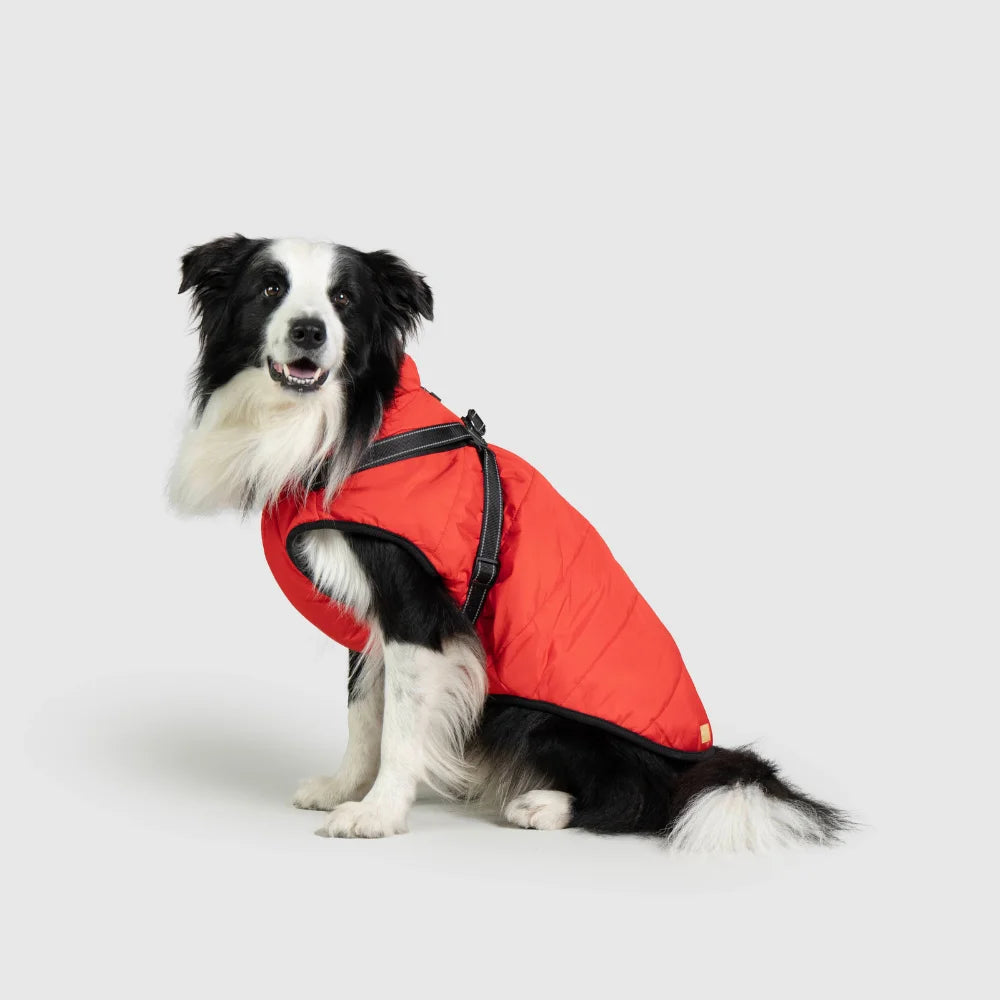 3 in 1 Waterproof Dog Fleece Coat