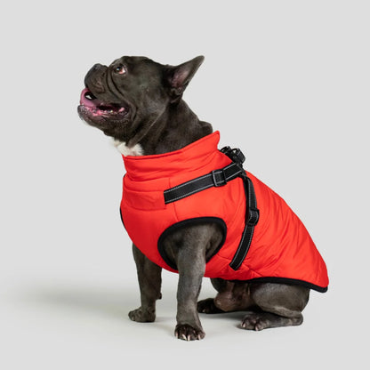 3 in 1 Waterproof Dog Fleece Coat