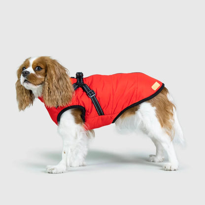 3 in 1 Waterproof Dog Fleece Coat
