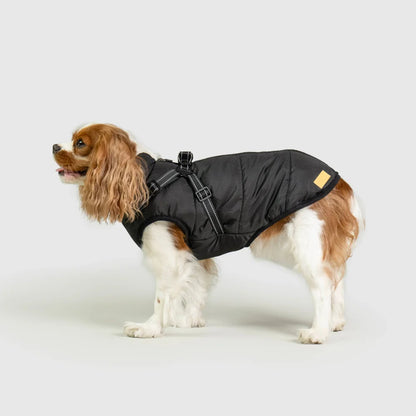 3 in 1 Waterproof Dog Fleece Coat