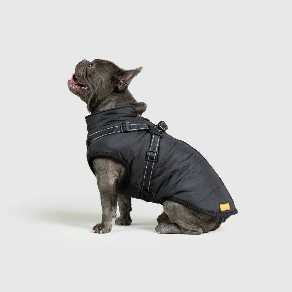 3 in 1 Waterproof Dog Fleece Coat