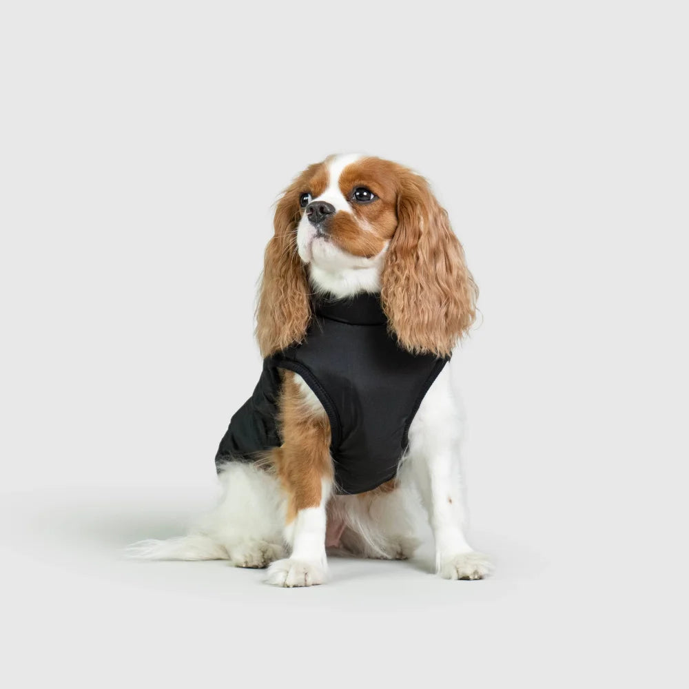 3 in 1 Waterproof Dog Fleece Coat