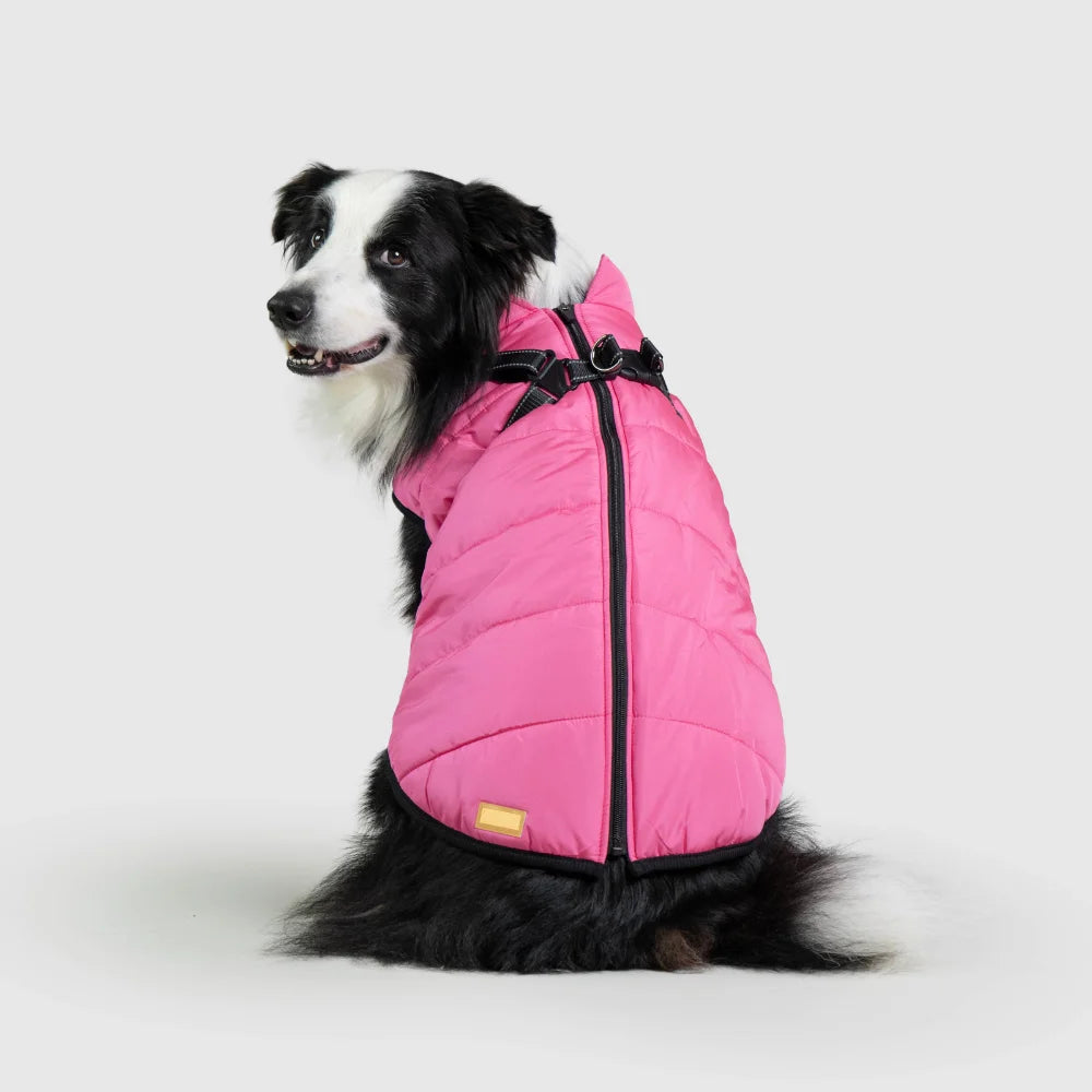 Waterproof Dog Jacket Waterproof Dog Coat and harness Full Coverage for Rainy Days Purrfpets