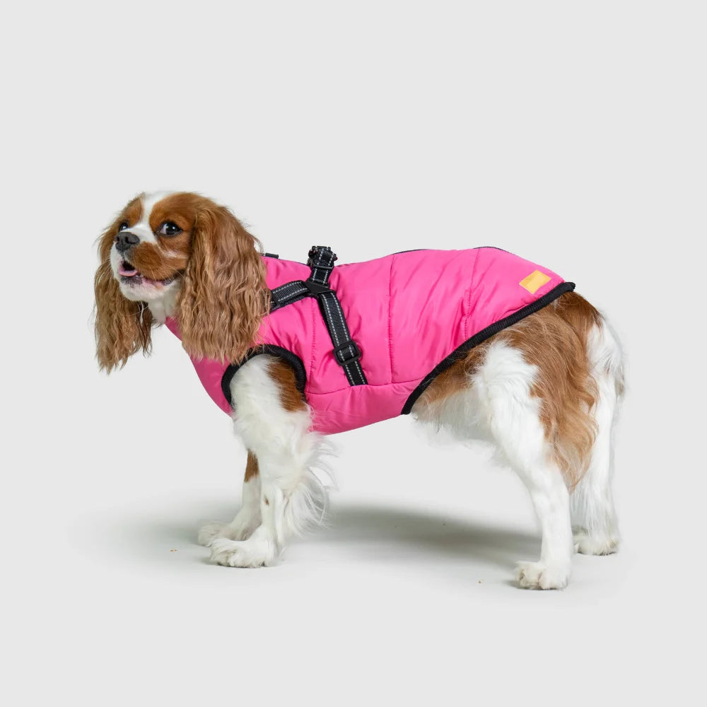 3 in 1 Waterproof Dog Fleece Coat