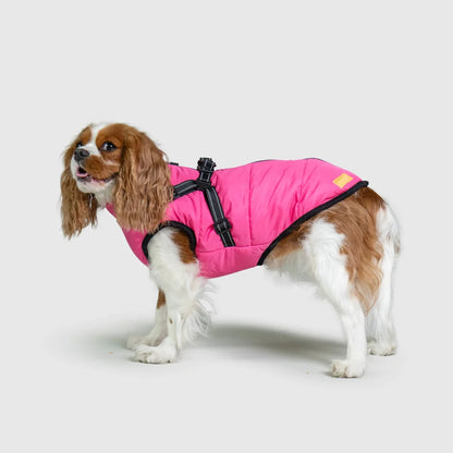 3 in 1 Waterproof Dog Fleece Coat