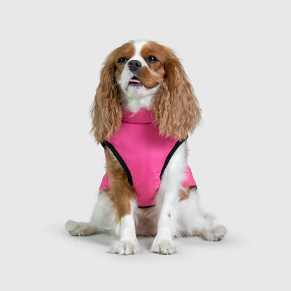 3 in 1 Waterproof Dog Fleece Coat