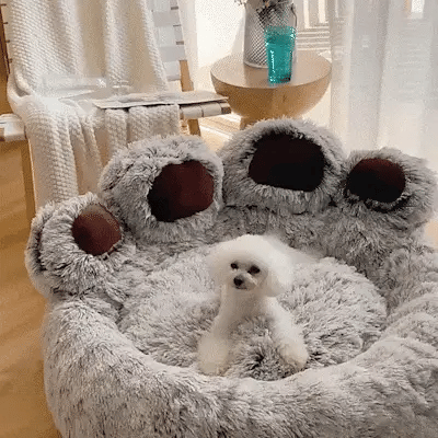 Calming Paw Dog Bed