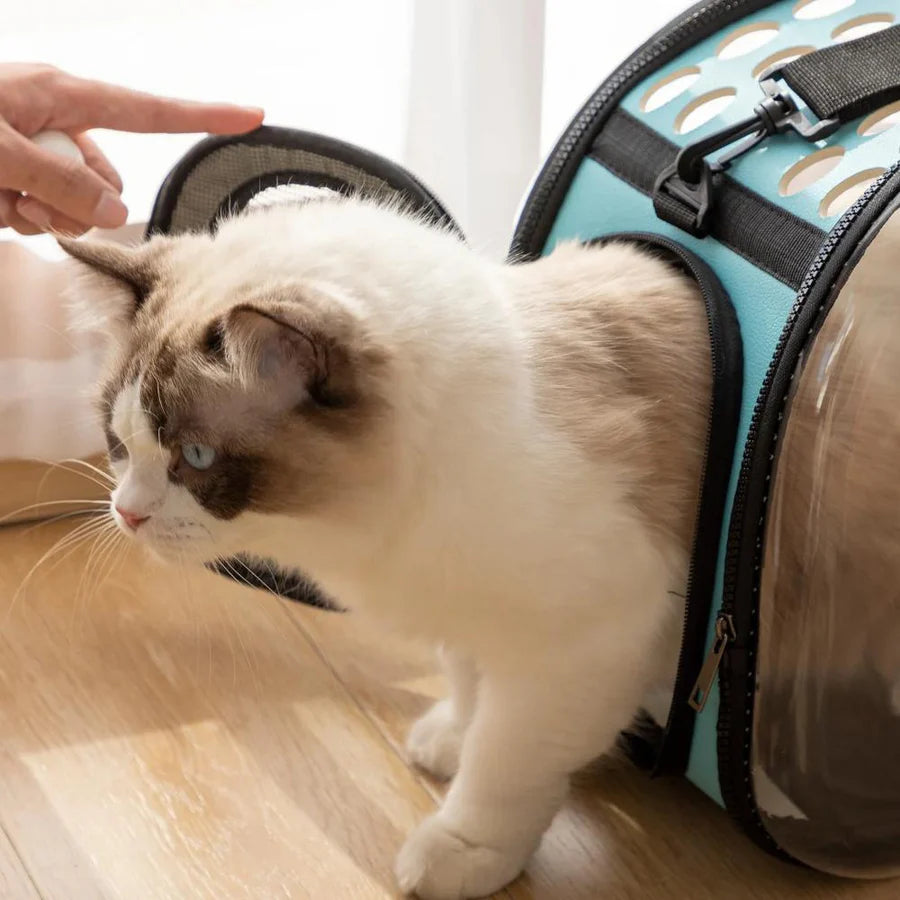 Portable Cat Carrier Bag