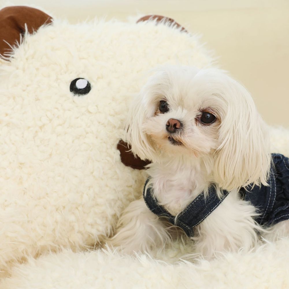 Cuddly Bear Plush Pet Bed