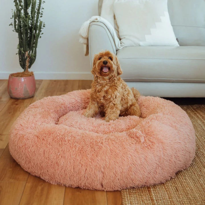 The Premium Anxiety-Relieving Dog Bed