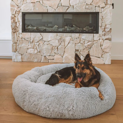 The Premium Anxiety-Relieving Dog Bed