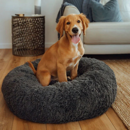 The Premium Anxiety-Relieving Dog Bed