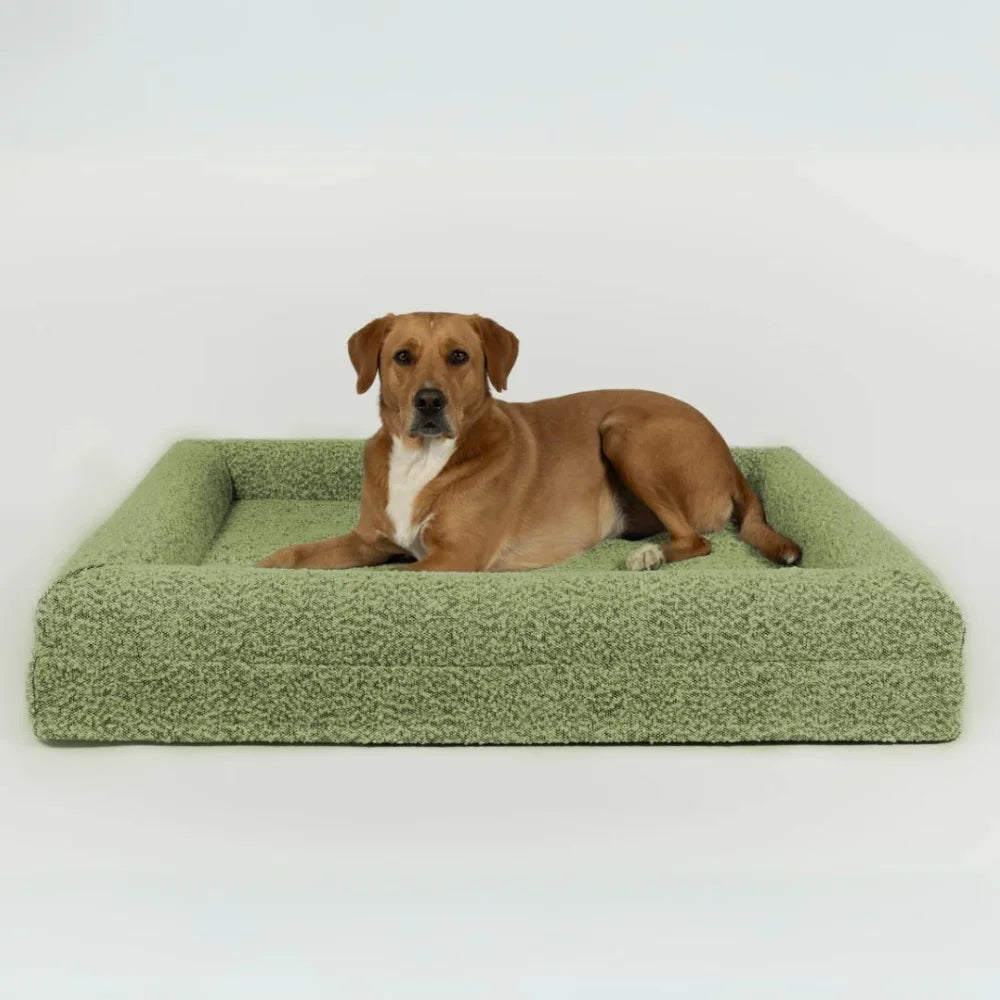 Luxury Orthopedic Dog Bed With Removable Cover