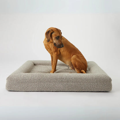 Luxury Orthopedic Dog Bed With Removable Cover