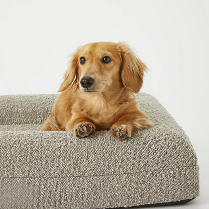 Luxury Orthopedic Dog Bed With Removable Cover