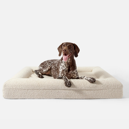Luxury Orthopedic Dog Bed With Removable Cover