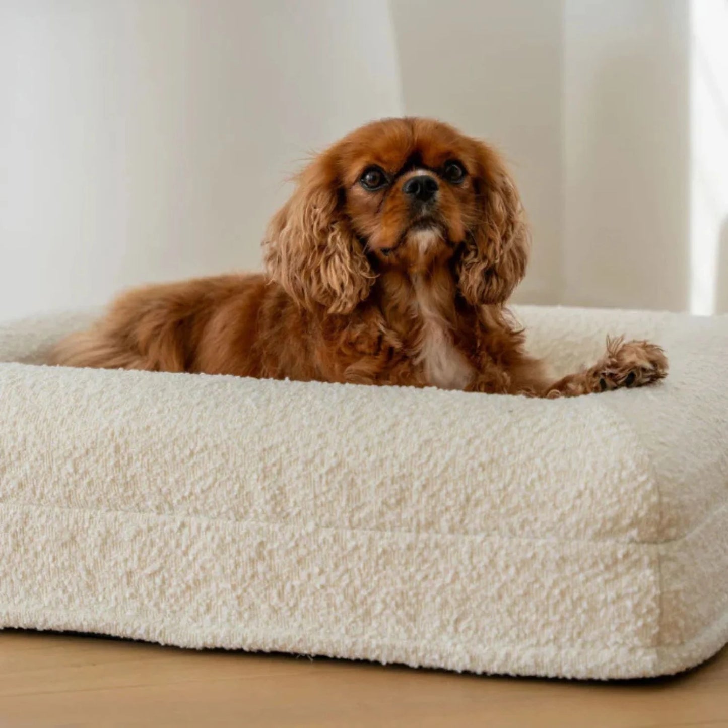 Luxury Orthopedic Dog Bed With Removable Cover