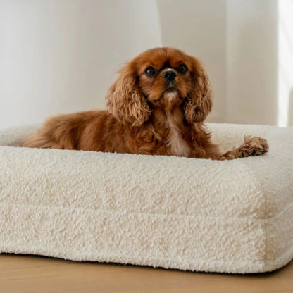 Luxury Orthopedic Dog Bed With Removable Cover