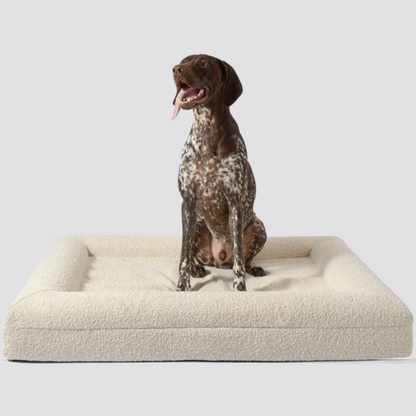 Luxury Orthopedic Dog Bed With Removable Cover