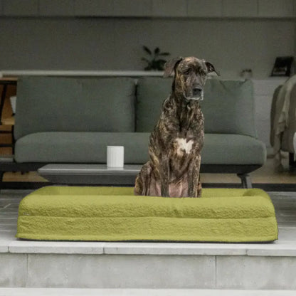 Luxury Orthopedic Dog Bed With Removable Cover