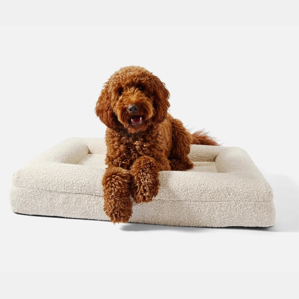 Luxury Orthopedic Dog Bed With Removable Cover