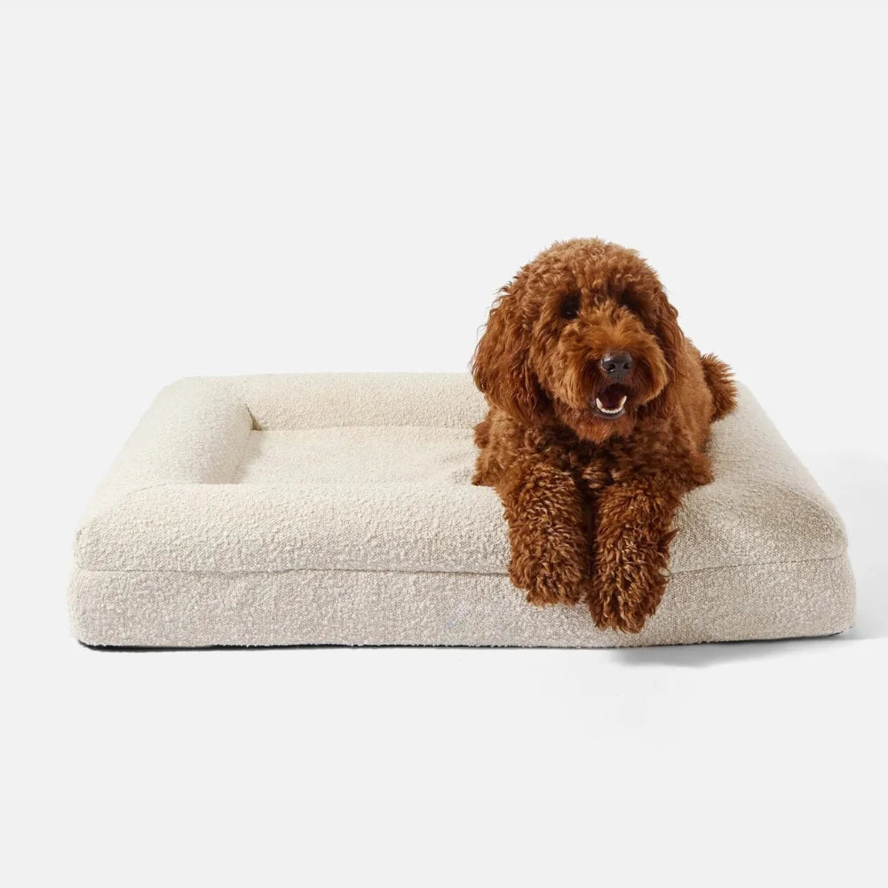Luxury Orthopedic Dog Bed With Removable Cover