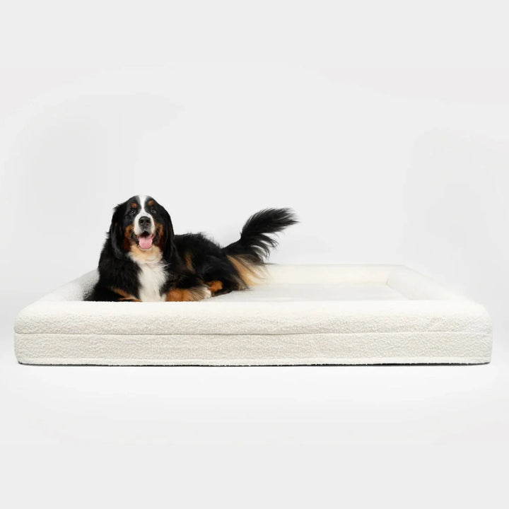 Orthopedic Dog Bed Memory Foam Waterproof Joint Relief for Dogs Purrfpets