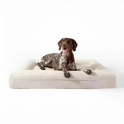 Luxury Orthopedic Dog Bed With Removable Cover