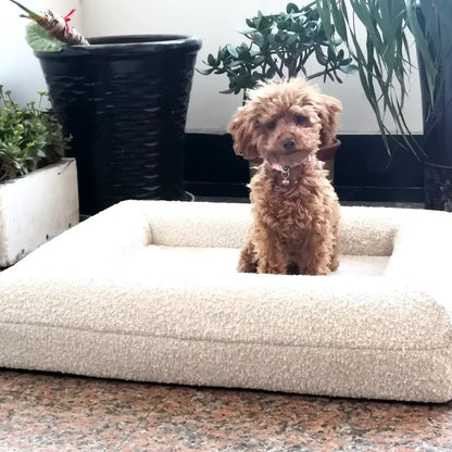 Luxury Orthopedic Dog Bed With Removable Cover
